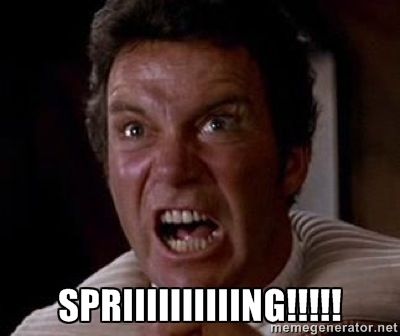A screengrab from Star Trek II: The Wrath of Khan. William Shatner, as Captain Kirk, is furiously yelling 'Khaaaaaan!', but the caption is instead 'Spriiiiiiiiing!!!!!'